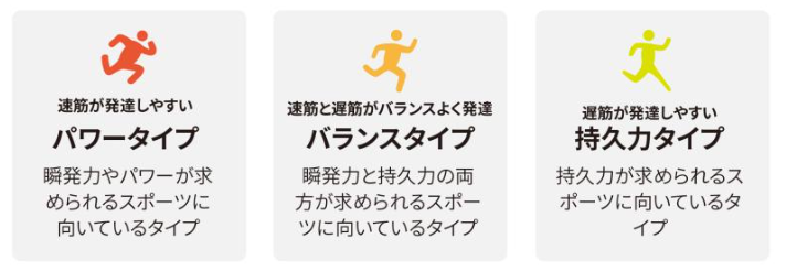 遺伝子検査で持久力型と判明