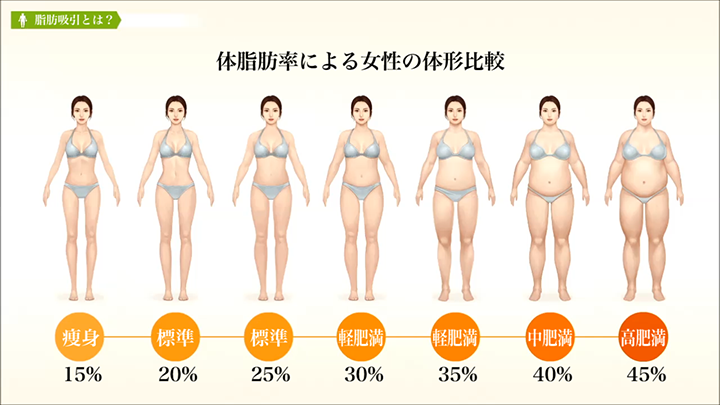 体脂肪率による女性の体型の違い