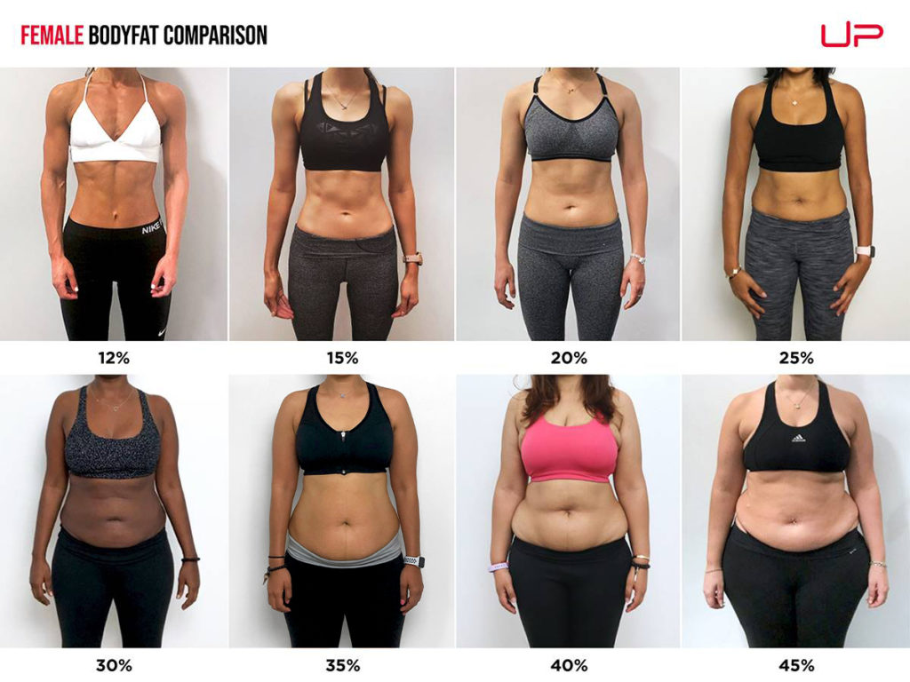 体脂肪率25％の女性の見た目を他の体脂肪率と比較