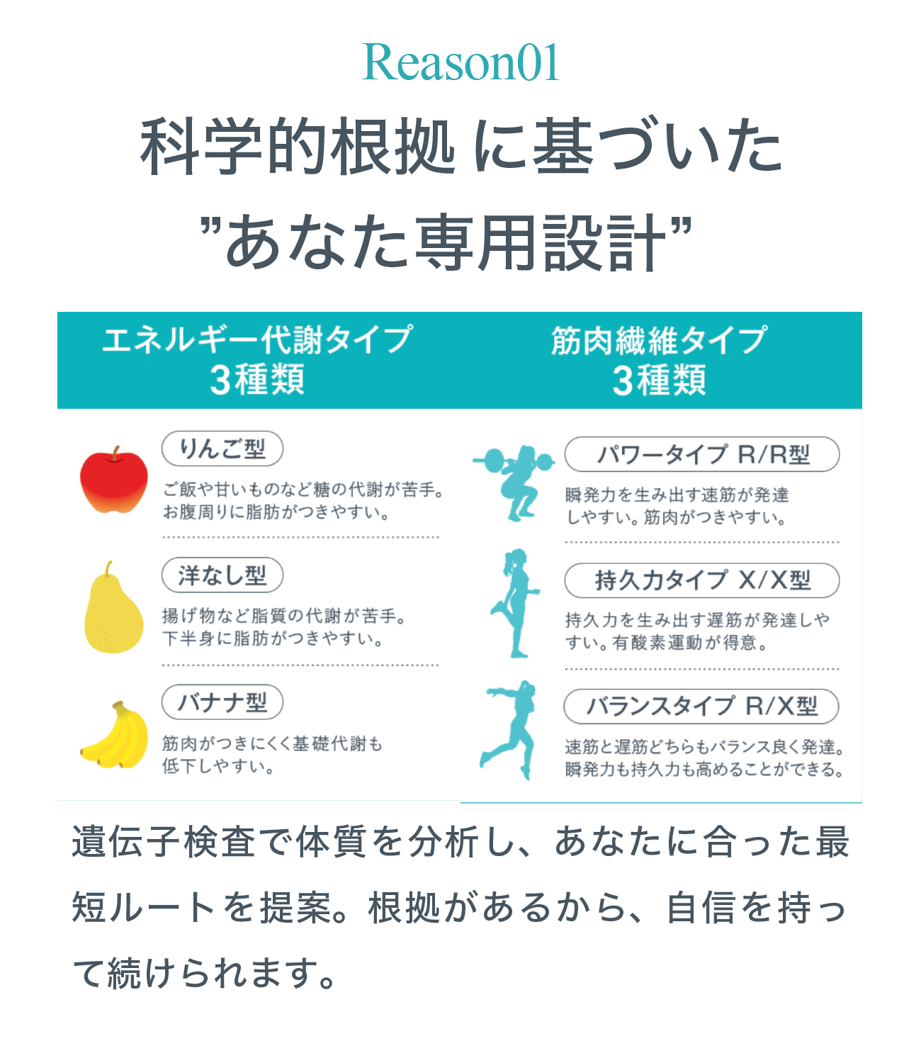 REASON 01 科学的根拠遺伝子検査に基づくダイエットプログラム
