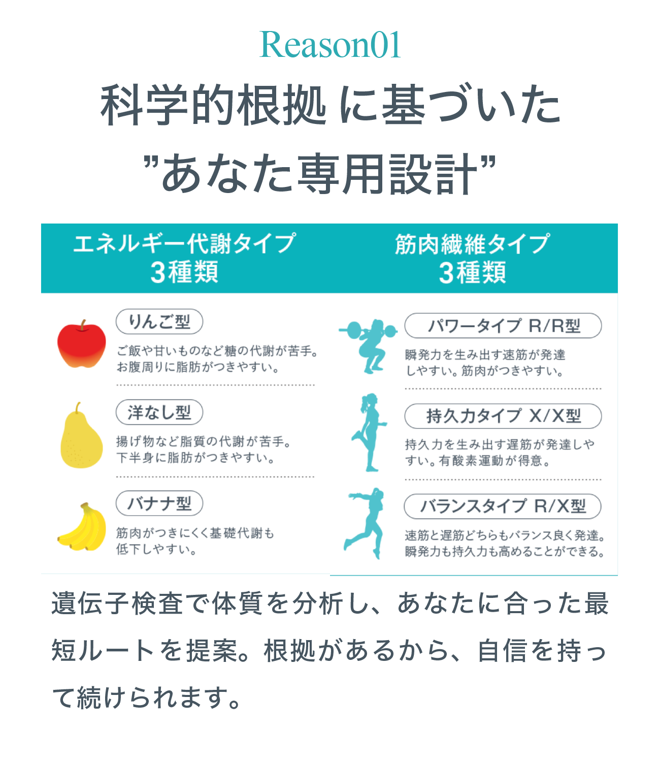 REASON 01 科学的根拠遺伝子検査に基づくダイエットプログラム