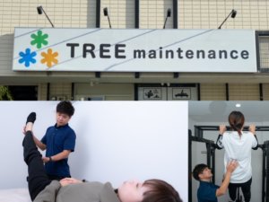 TREE maintenance 久留米店